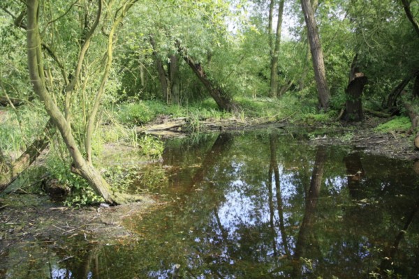 Nature Reserve Article - Parish Walking & Wildlife Group